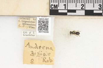 Media type: image;   Entomology 774236 Aspect: Labels